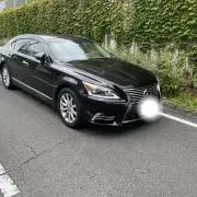 パパごん