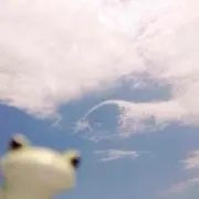 ゆおの画像
