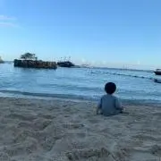 ‪⸜(*ˊᵕˋ* )⸝‬の画像