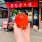 ななの画像