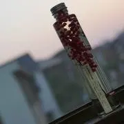 あの画像