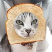 ちぃさんの画像