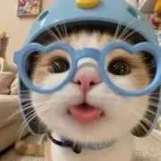 ぬるみの画像