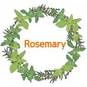 Rosemaryの画像
