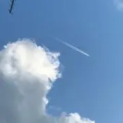 ソラの画像