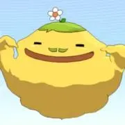 nikiの画像