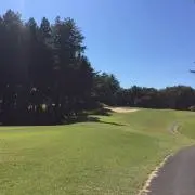 伊集院