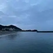 Lの画像