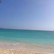 riiの画像