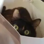 yasuの画像