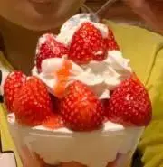 マンチカン☆好きの画像
