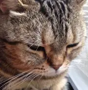 まきちゃん