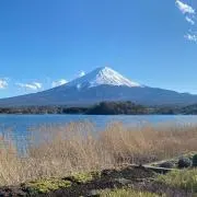 なちゃの画像