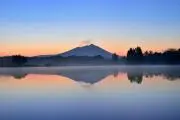 Ibaraの画像