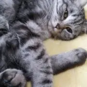 もっちゃん（プロフ必読）の画像