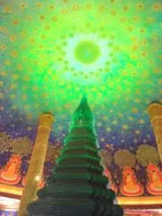 オハナ55の画像