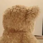 くまさんの画像
