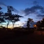鹿角