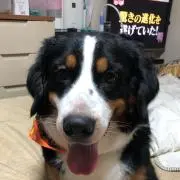 みおみおの画像