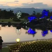 そらまめ☆の画像
