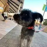 ノブ