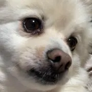 ＿YANO＿