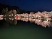 りんぜすの画像