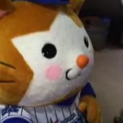 masako プカの画像
