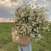 ちぴの画像