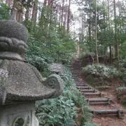 芍薬