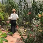 miniの画像