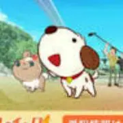 はるちゃんの画像