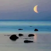 つきの画像