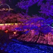 ズヌーピー