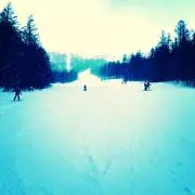 Yosの画像