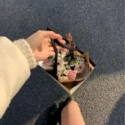 やまめの画像