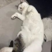 きのこの画像