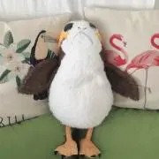 はなちゃんの画像