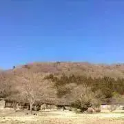 リーの画像
