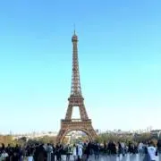 ぶーやんの画像