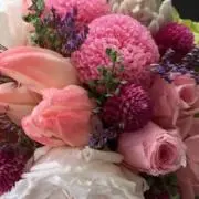 紫陽花