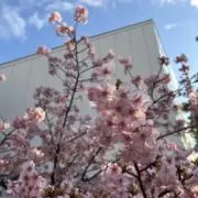 ♪プロフ必読♪♪