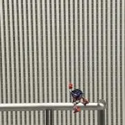 バロントンボの画像