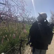 Yurの画像