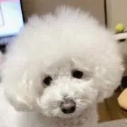 Hanaの画像