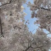 ぴっ♪の画像