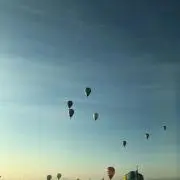 ひまわり☆