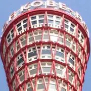 トムヤムクンの画像