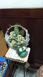 momoの画像