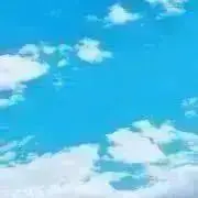 ゆぅの画像